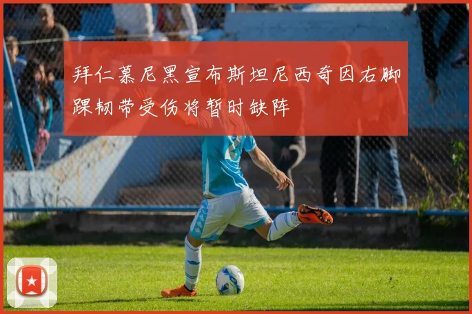 拜仁慕尼黑宣布斯坦尼西奇因右脚踝韧带受伤将暂时缺阵