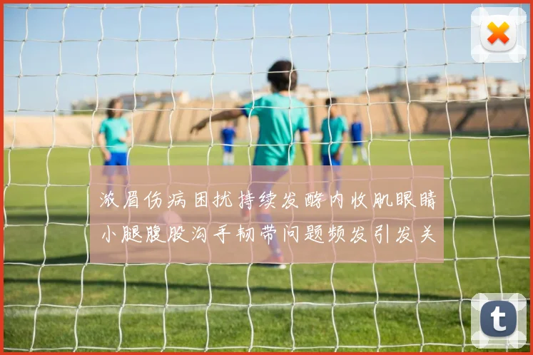 浓眉伤病困扰持续发酵内收肌眼睛小腿腹股沟手韧带问题频发引发关注