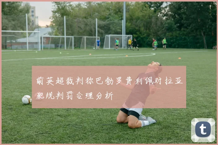 前英超裁判称巴勃罗费利佩对拉亚犯规判罚合理分析