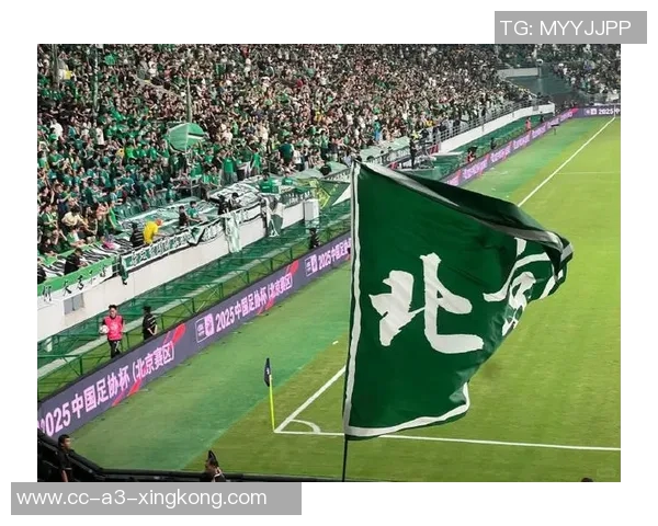 国安本赛季总结：无悔但遗憾明年明确方向全力以赴再出发